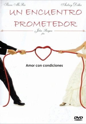 Poster Un encuentro prometedor 2013