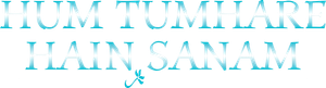 Hum Tumhare Hain Sanam