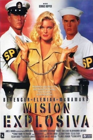 Poster Misión explosiva 1994