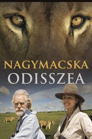 Image Nagymacska-odisszea