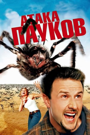 Image Атака пауков