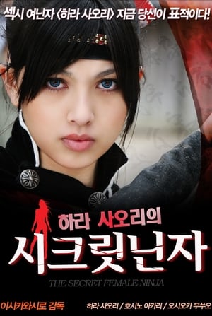 Poster 하라 사오리의 시크릿닌자 2009