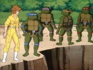 Teenage Mutant Hero Turtles: 3×10