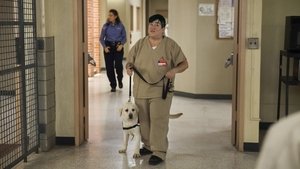 Orange is the new Black: Saison 1 Episode 7