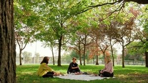 Format familial: 7×19