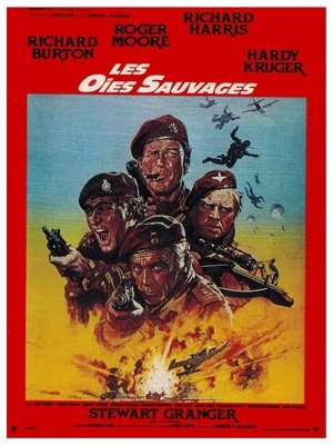 <Images posters