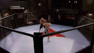 Mixed Martial Arts