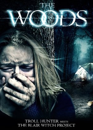 Poster The Woods 2013