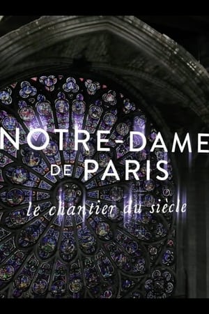Image Notre-Dame de Paris, le chantier du siècle