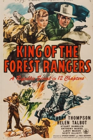 Image King of the Forest Rangers