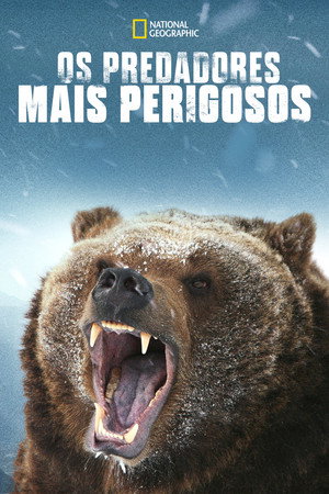 Os Predadores Mais Perigosos