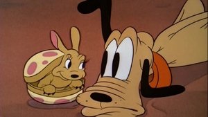 Pluto et l'Armadillo