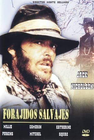 Poster Forajidos salvajes 1966