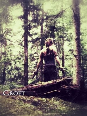 Poster Croft (2013)