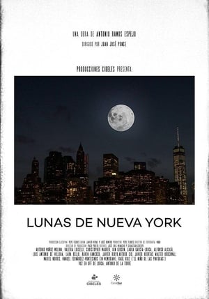 Poster Lunas de Nueva York (2015)