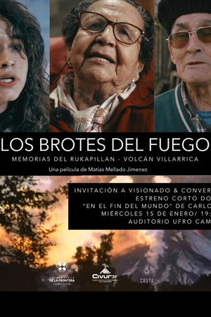 Los brotes del fuego