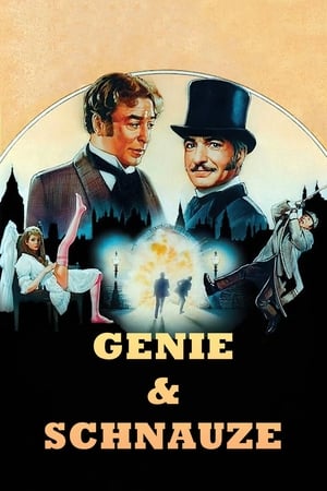 Poster Genie und Schnauze 1988