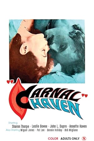 Poster Carnal Haven (1978)