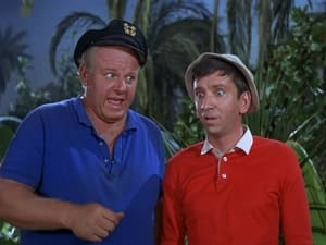 Gilligan's Island Not Guilty