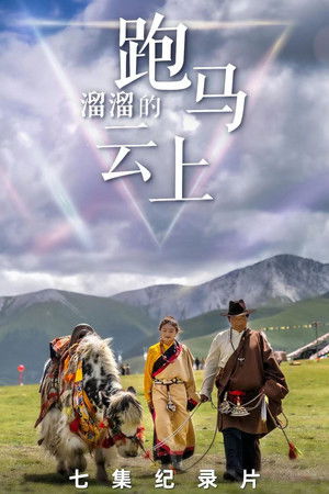 跑马溜溜的云上