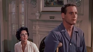 Cat on a Hot Tin Roof (1958) : Alizabeth Taylor