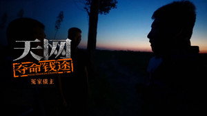 Episode 8 - Episode 8
