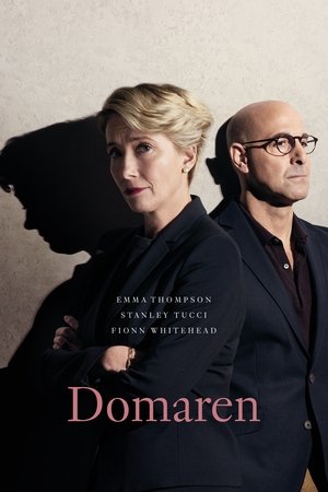 Poster Domaren 2018