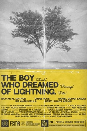 Image The Boy Who Dreamed of Lightning