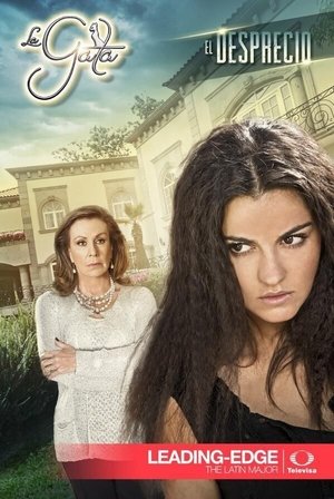 The Stray Cat 11