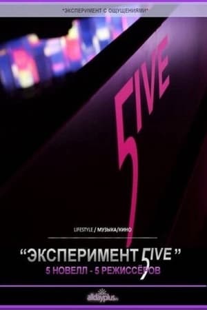 Poster Experiment 5ive (2011)
