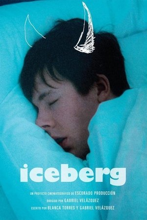 Image Iceberg