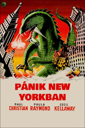 Poster Pánik New Yorkban 1953