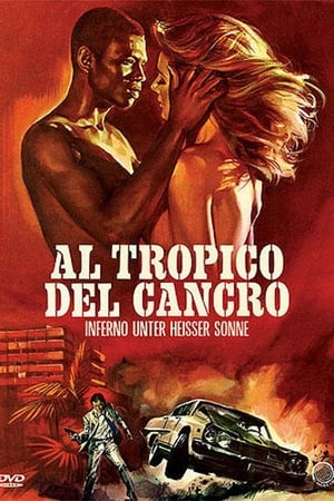 Inferno unter heißer Sonne (1972)