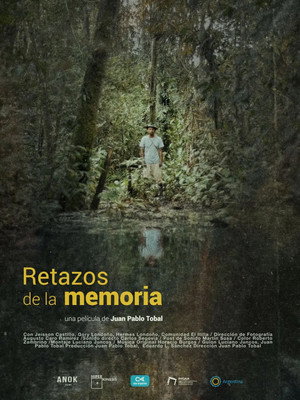 Remnants of memory (2026)