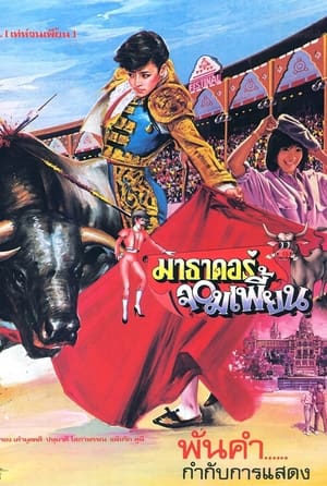 Poster The Extraordinary Matador (1985)