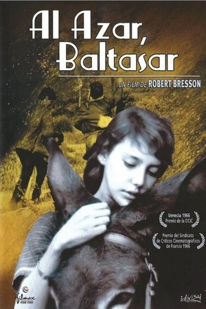 pelicula Al azar, Baltasar (1966)