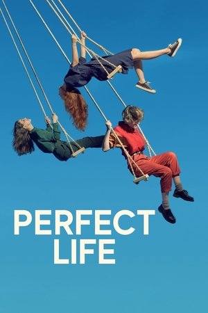 Poster Perfect Life Season 2 When you want what you can't have (Cuando quieres lo que no tienes) 2021