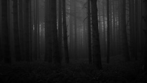 Out From the Egg (2025)