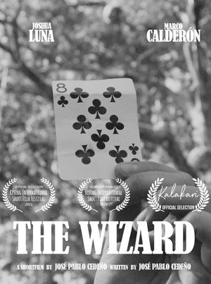 The Wizard 3
