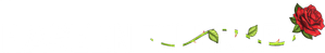 Haseen Dillruba