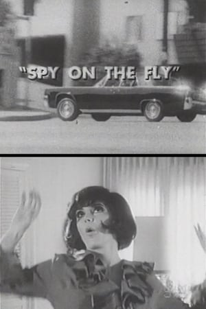 Poster Spy on the Fly (1967)