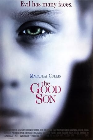 Poster The Good Son (1993)