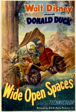 Poster Donalds Notquartier 1947