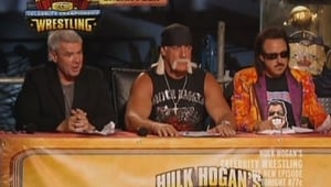 Hulk Hogan's Celebrity Championship Wrestling Pick Your Gimmick