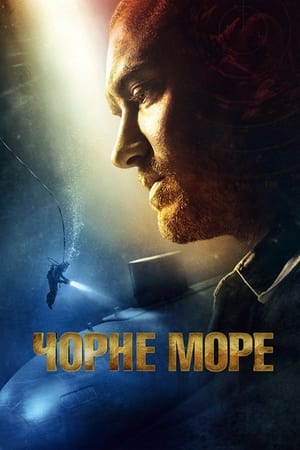 Poster Чорне море 2014