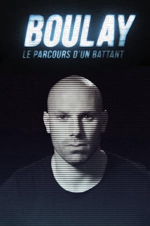 Poster Boulay : Le parcours d'un battant 2018