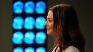 Grey’s Anatomy 14 – Episodio 3