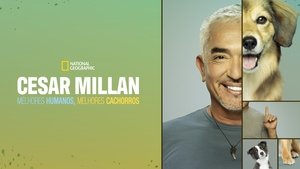 poster Cesar Millan: Better Human, Better Dog