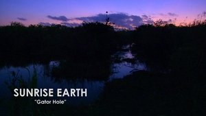 Sunrise Earth Gator Hole