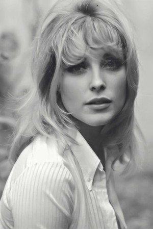 Sharon Tate fotoğrafı